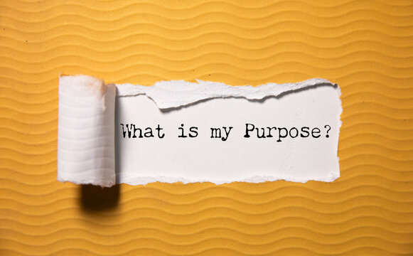 What is my Purpose question