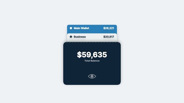 Digital wallet interface showing total financial balance and account details