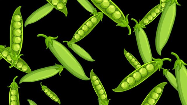 Falling Green Pea Pods Animation on Black Background