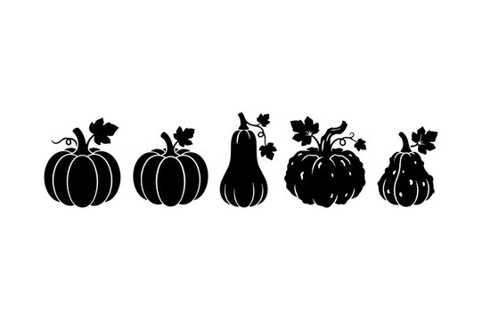 pumpkin and gourd icons collection autumn harvest silhouette vector illustration