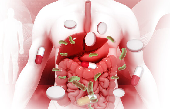 3D medical illustration showing the complete human digestive system, including the esophagus, stomach, liver, and intestines, against a dark background.