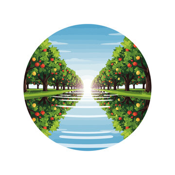 Orange Grove Reflection in Water