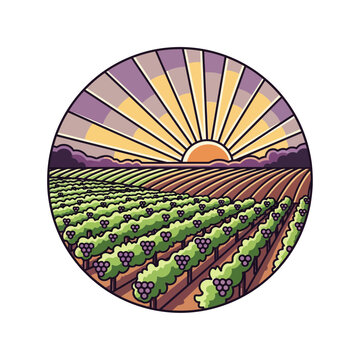 Vineyard Sunset Illustration - Grapes, Agriculture, Rural Landscape