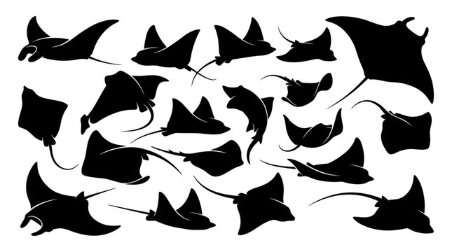 Manta Ray and Stingray Silhouette Collection with Various Marine Wildlife Swimming Poses for Ocean Life Illustrations, Undersea Graphic Designs, and Vector Icons