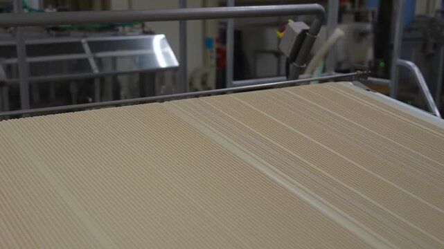 Wide unbroken sheet of dough gliding along a conveyor beneath overhead machinery in a food plant