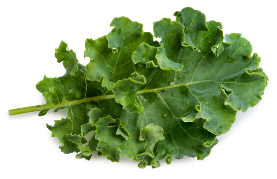Fresh green kale leaves isolated on a white background, with clipping path, Perfect visual for healthy food marketing, detox juice branding, organic superfood concepts, and premium dietary product pac