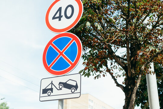A speed limit sign displays a maximum of 40, while below it, a no parking sign shows a towing warning. The signs are situated near a tree, indicating a city environment during daylight