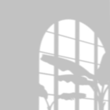 Banana tree branch window shadow overlay for professional portfolio and web design use.