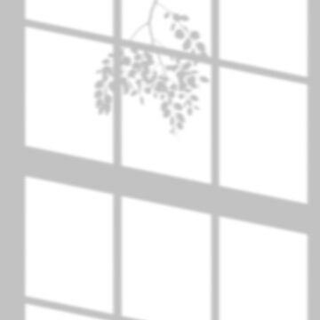 Window frame shadow with eucalyptus tree leaf on transparent background, vector illustration.