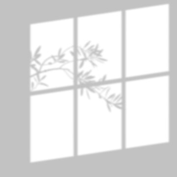 Window pane sun shadow overlay casting olive leaf branch patterns on light gray walls.