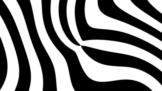 Black and white zebra stripes pattern with central copy space for text during a seamless loop animation