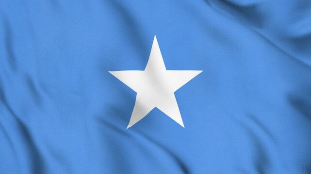 Somalia National Flag Waving in Wind with Realistic Fabric Texture, Seamless Loop Animation 4K