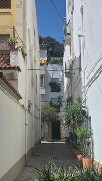 Landscape and detail of Blanes, Catalonia, Spain