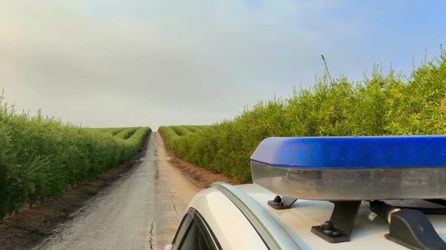 Robos de aceitunas, seguridad rural agr&iacute;cola 