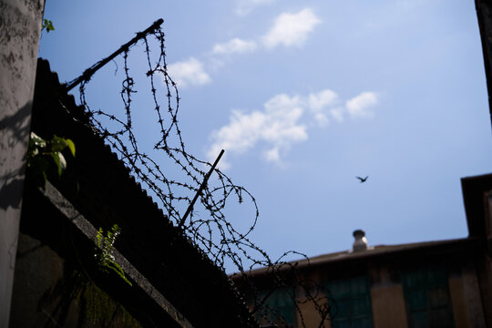 Bird flying beyond barbed wire against a blue sky