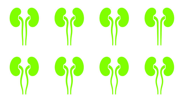 Green Human Kidney Anatomy Icon Set Vector for Medical Education, Healthcare Infographics & Nephrology Research Presentations (EPS)