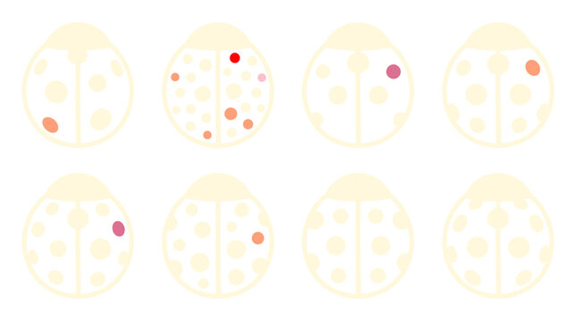 Minimalist Ladybug Beetle Insect Vector Icon Set for Educational Biology Materials, Nature Infographics & Spring Graphic Design (EPS)