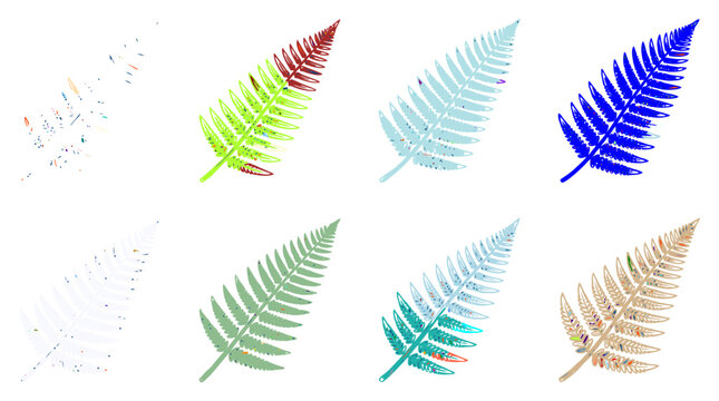 Colorful Fern Leaf Botanical Illustration Vector Set for Nature Branding, Organic Product Packaging & Tropical Garden Design (EPS)
