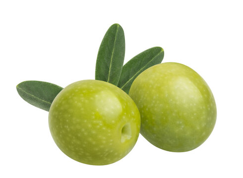 Fresh green olive with leaf isolated on white background. Nutritious ingredient for mediterranean diet, healthy food and delicious oil. Natural beauty product and organic cosmetics.