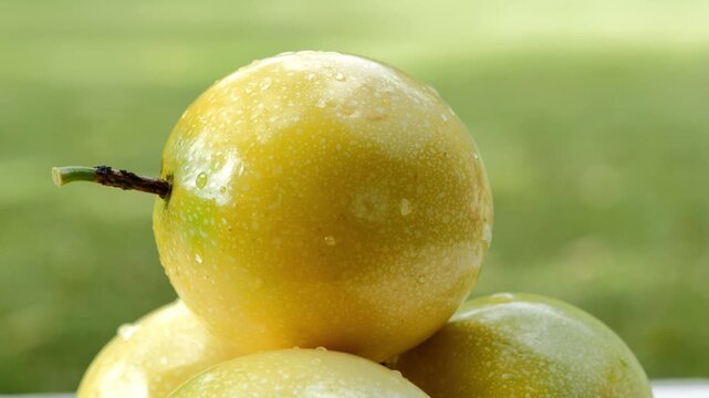 Ripe Yellow Passion Fruit in Natural Light