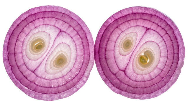 Two translucent red onion slices with concentric rings, isolated on transparent background