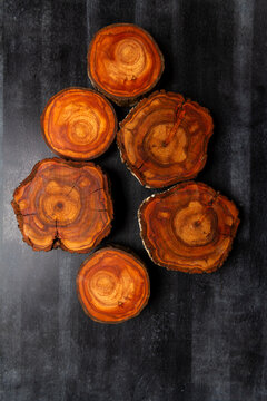 Wood log tree slices on black chalkboard. Flat lay. Top view