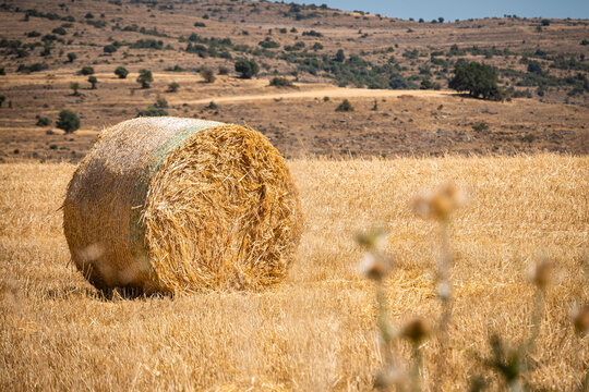 bales of straw