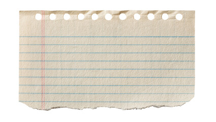 Torn lined notebook paper with punched holes, isolated on transparent background © Corotaev