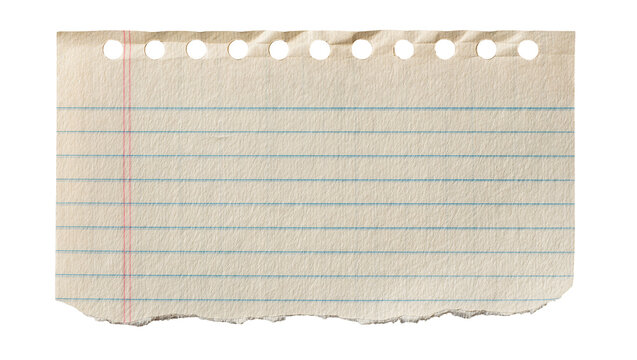 Torn lined notebook paper with punched holes, isolated on transparent background