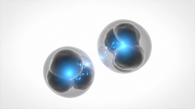 Abstract 3d Animation of Biological Cell Division With Glowing Blue Nucleus
