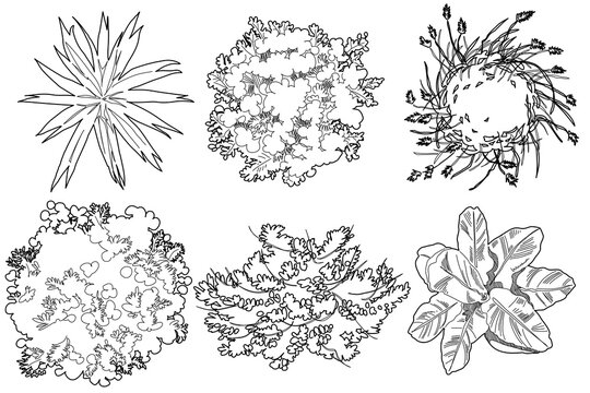 collection of six distinct, hand-drawn plant and shrub symbols rendered from a top-down plan view perspective. Executed in crisp black ink line art on a white background, the set showcases varied bota