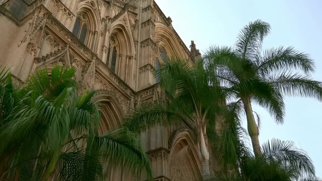Low-angle upward pan revealing ornate Gothic cathedral facade framed by tall tropical palms, carved stone arches, traceried windows, pinnacles, and rich weathered exterior detail