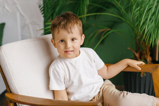 Little Boy Sitting on Armchair and Looking at Camera