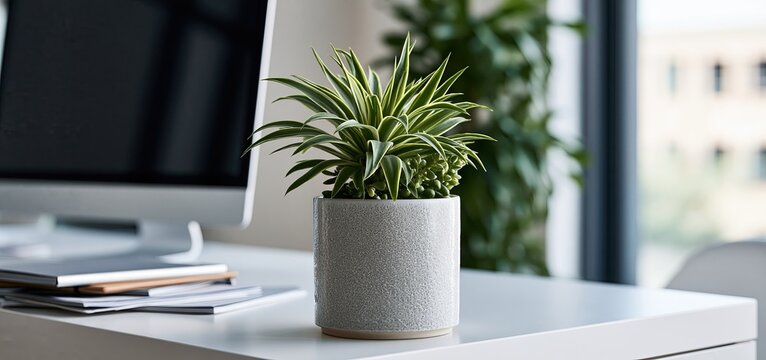 A bright, organized desk featuring a widescreen monitor, ceramic succulent, and scattered notebooks creating an inviting workspace.