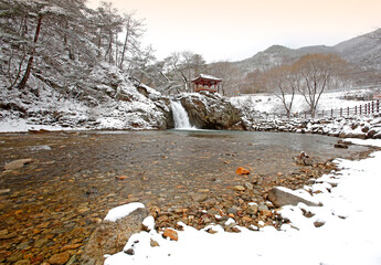 용유천,폭포,소나무,장각폭포,금란정,상오리,상주시,경북 © JinChang