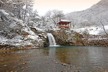 용유천,폭포,소나무,장각폭포,금란정,상오리,상주시,경북 © JinChang