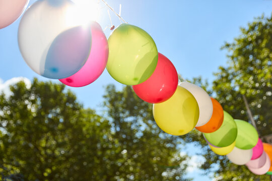Bunte Luftballons als Girlande f&uuml;r Geburtstagsfeier im Sommer im Gr&uuml;nen