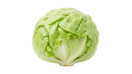 Obraz premium Fresh Green Iceberg Lettuce Head Isolated on White Background.