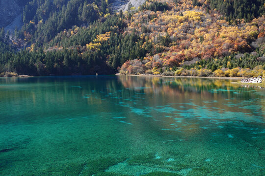 The breathtaking scenery of the crystal-clear turquoise lake with autumn colors at Jiuzhaigou National Park in Sichuan Province, China