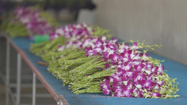 Fresh Purple Orchid Flowers Arranged in Bundles for Sale