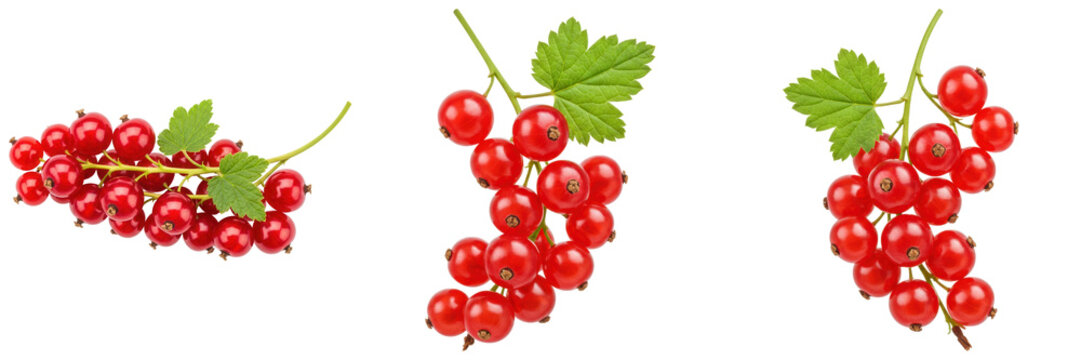 Vibrant red currants on stems with fresh green leaves, captured in a crisp photograph.