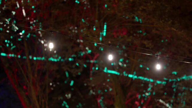 Row of festoon bulbs strung through tree branches lit turquoise and red at night