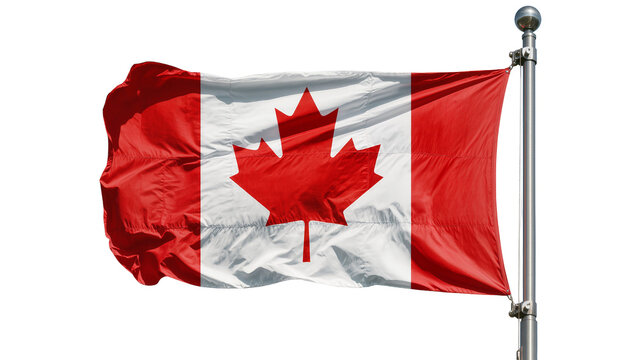 Waving Canadian flag with red maple leaf, isolated on transparent background