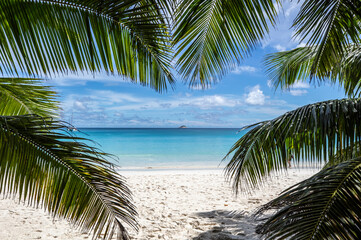 Fototapeta premium 야자수,모래사장,앙스라지오해변,Anse Lazio Beach,프랄린섬,세이셸
