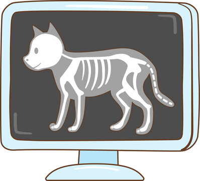 Digital Illustration of a Pet X-ray