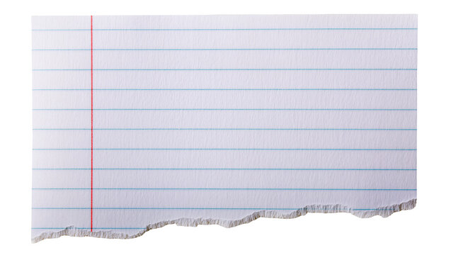 Torn lined notebook paper with red margin line, isolated on transparent background