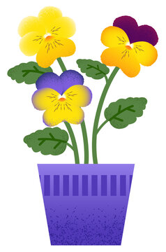 Pansy Flower Plant in Purple Vase &mdash; Yellow & Purple Floral Vector Illustration