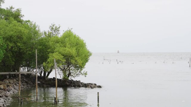 Lush green mangrove trees grow along a rocky coastline under a misty white sky. Calm tropical seascape features wooden poles in the water and a distant horizon view. Serene coastal nature landscape.