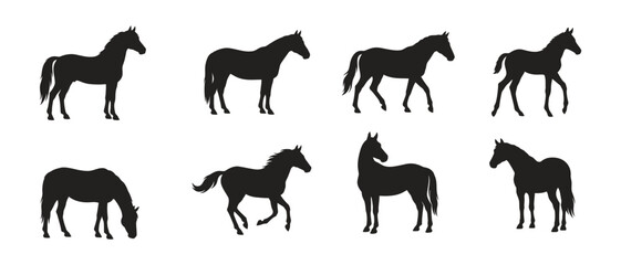 Obraz premium Collection of various horse poses isolated on a white background in a black silhouette