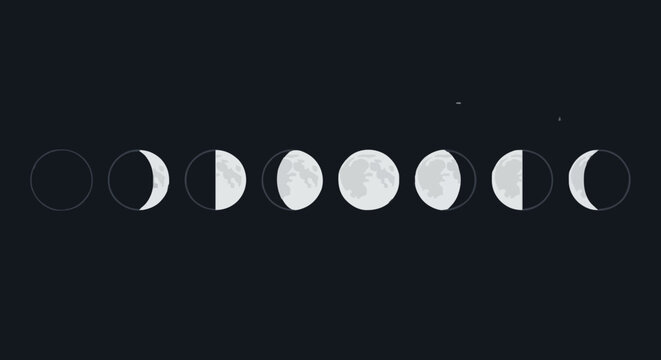 Moon Phases Educational Vector Illustration